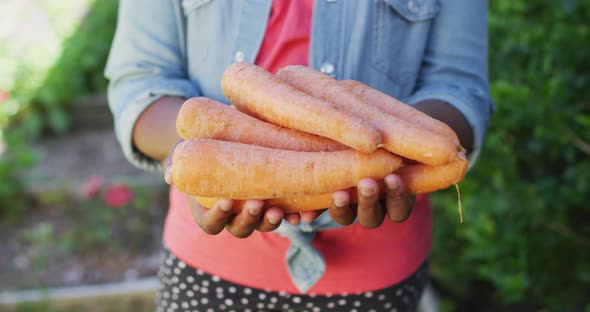 Midsection of african american girl holding carrots in garden