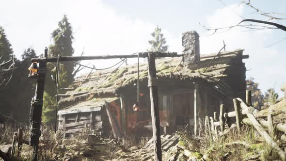 Old Retro Village in Pine Forest alt