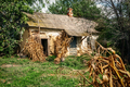 Old village house in forest environment - PhotoDune Item for Sale