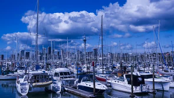 Auckland harbor New Zealand