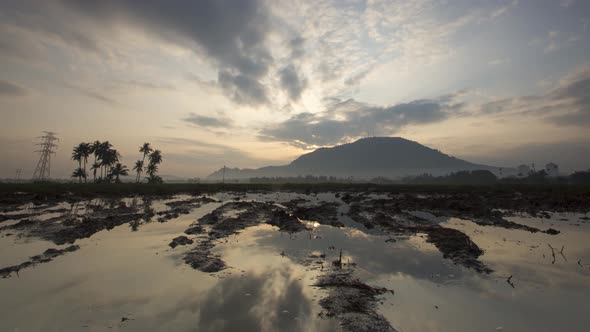 Timelapse muddy rice field after harvested 