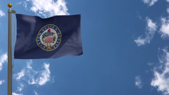 United States Senate Flag (Usa) On Flagpole