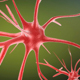 Neurons cells medical animation video models - 3DOcean Item for Sale