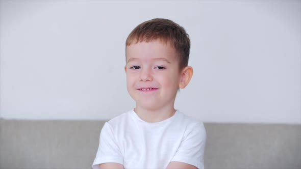 Portrait Funny Little Boy Smiling Chil Looking at Camera Are Sitting on the Couch at Home, Cute Kid