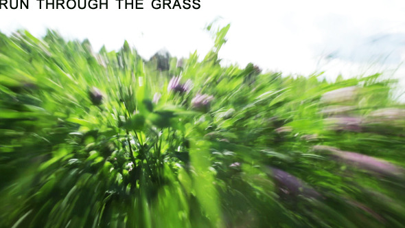 Fast Run Through The Grass