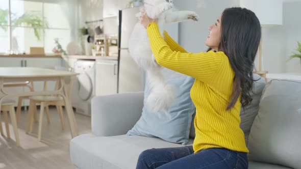 Asian woman holding and play with little cat with happiness at home.