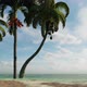 Palms Beach 2 - VideoHive Item for Sale