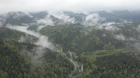 Ukraine, Carpathian Mountains: Beautiful Mountain Forest Landscape. Aerial, Flat, Gray