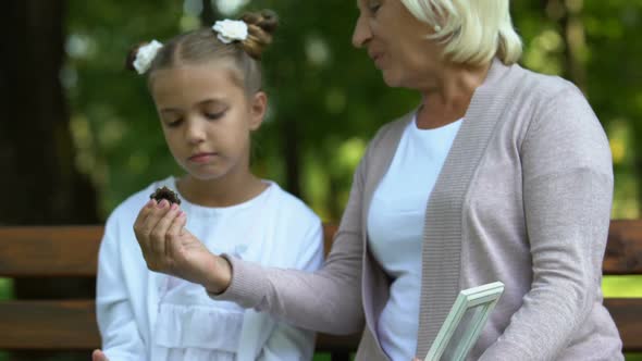 Grandmother Giving Family Ring Her Granddaughter, Telling Story, Valuable Gift