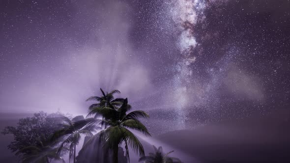 Milky Way Galaxy Over Tropical Rainforest