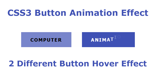 CSS3 Button Animation Effect