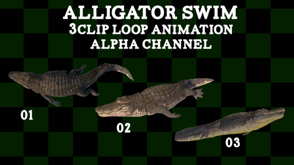 Alligator Swim 3Clip Loop alt
