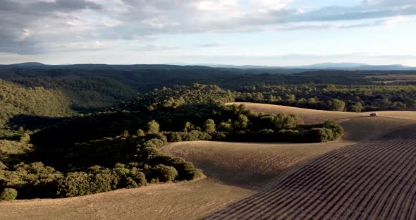 Aerial  Panoramic of Land Lavender and Beautiful Sunset Near Valensole France