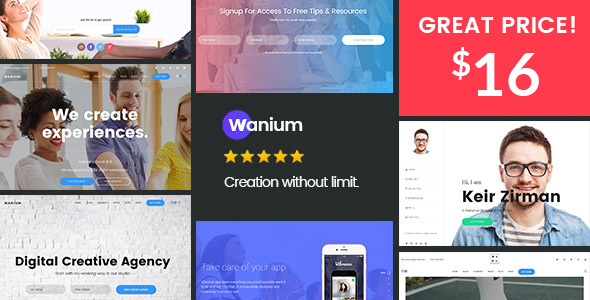 Тема WordPress Wanium - A Elegant Multi-Concept Theme