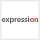 Expression Photography Responsive WordPress Theme - ThemeForest Item for Sale