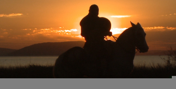 Man On Horse Silhouette