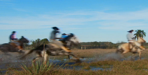 Horses Going Over Water