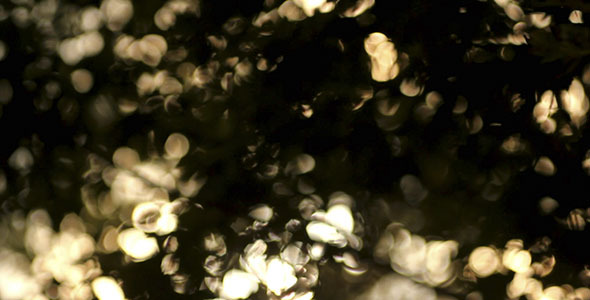 Sunshine Bokeh Background 4 alt