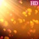 Autumn Leaf - VideoHive Item for Sale
