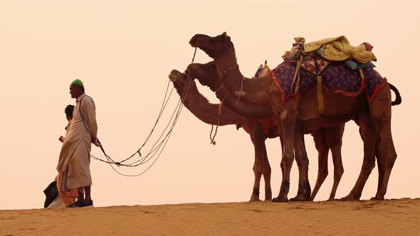 Cameleers, Camel Drivers at Sunset