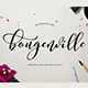 Bougenville Script - GraphicRiver Item for Sale