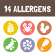Food Allergen Icons - GraphicRiver Item for Sale