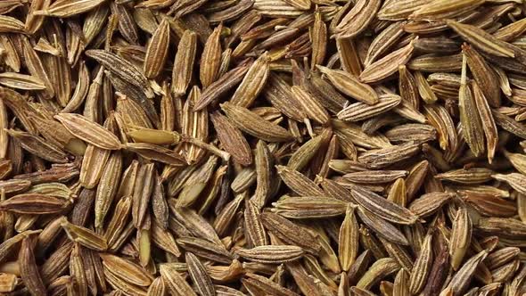 Dried  cumin seeds close up full frame 