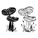 Two Silhouette Mushrooms - GraphicRiver Item for Sale