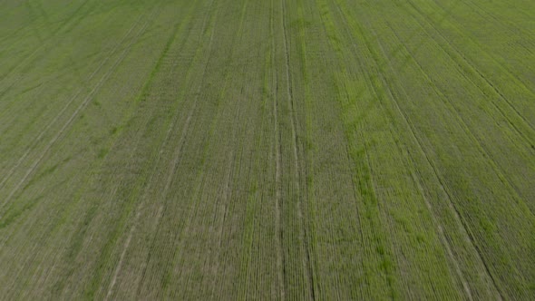 Flying Over an Agricultural Field in Spring