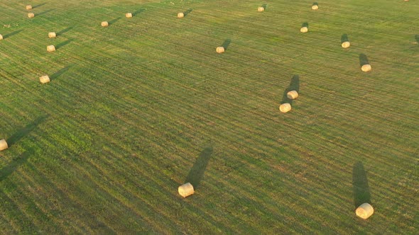 Field and Rolls