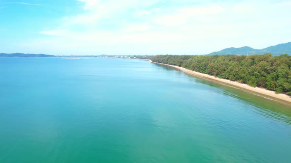 4K aerial view from a drone. Beautiful scenery of the coast with many pine trees.