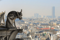 Chimera on Notre Dame de Paris - PhotoDune Item for Sale