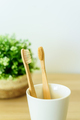 Two wooden toothbrushes - PhotoDune Item for Sale