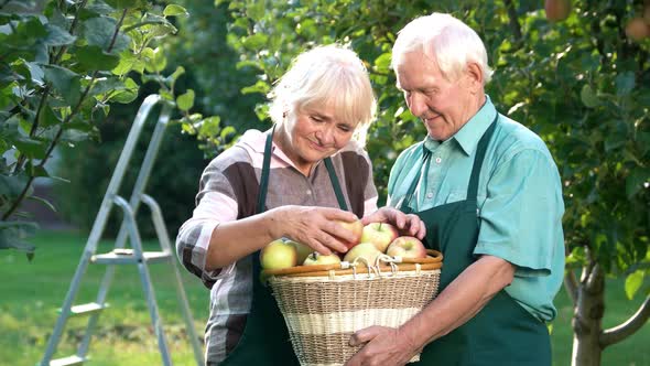Couple of Gardeners, Apple Basket.