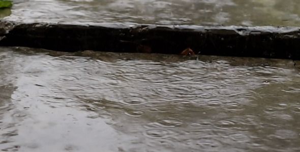 Drops Of Rain Hit The Concrete Slabs alt