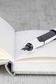 Fountain Pen on Notebook - PhotoDune Item for Sale