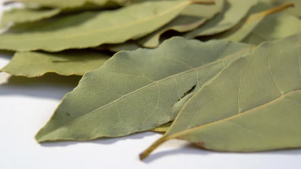 Bay leaf on white background. Aromatic spice. Dry seasoning. Dried condiment leaves. Macro