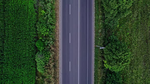 Car Riding on the Highway Through the Forest on Countryside