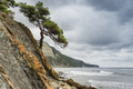 Rocky shore with a stormy sea - PhotoDune Item for Sale