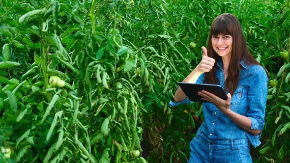 Farmer Female Women in Green House Checks Quality of Tomato Showing Thumb Up