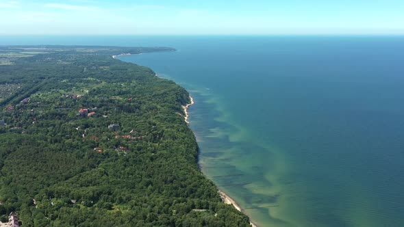 Baltic Coastline with Green Summer Forest and the Sea