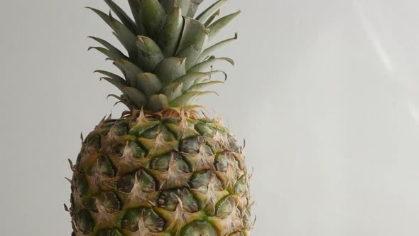 Ananas comosus on white 4K 2160p 30fps UltraHD tilting footage - Close-up of fresh exotic pineapple 