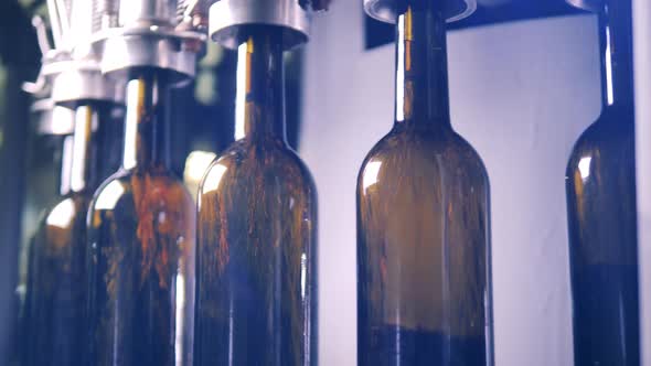 Empty Bottles Being Filled with Red Wine