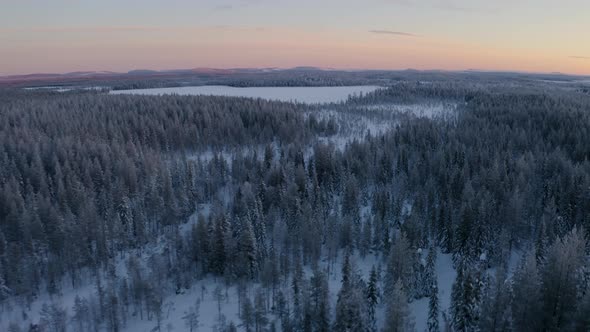 Snowy Sweden Lapland tranquil snow covered woodland trees scenery aerial view passing above landscap