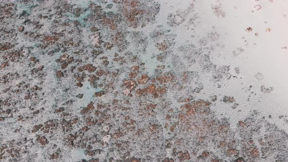 Ocean Coral Reef and Beach Shallow at Low Tide Zanzibar Matemwe Top Aerial