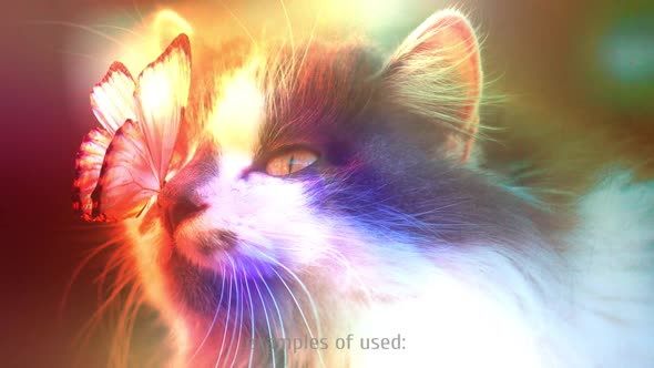 Colorful Blurry Lights alt