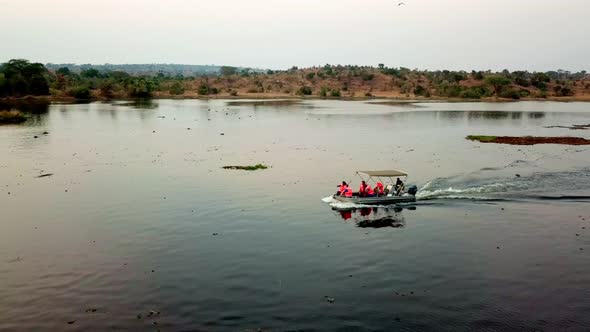 Group Of Tourists Riding Motorboat Cruising In The Lake For Animal Sightseeing Tour. - aerial