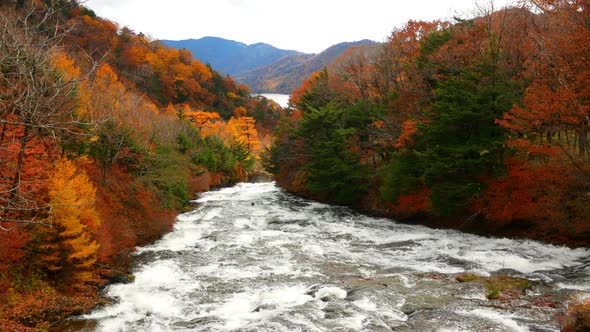 River in Autumn