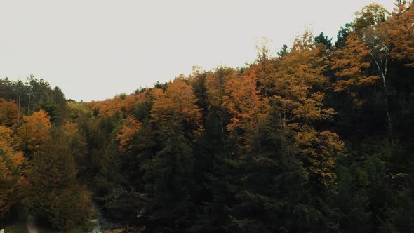 Drone flight over fall forest in Canada. Autumn leaves and trees. Orange, Red, Yellow and Green beau