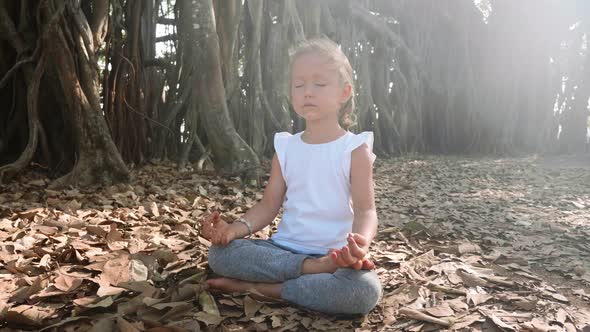 Little Child Girl Meditating Alone Under Banyan Tree